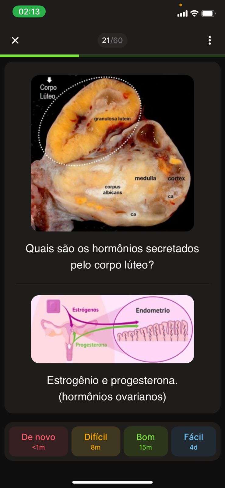 Flashcard 1