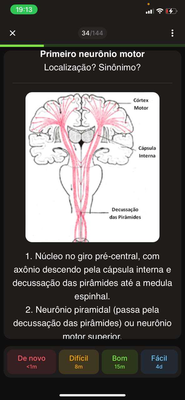 Flashcard 11