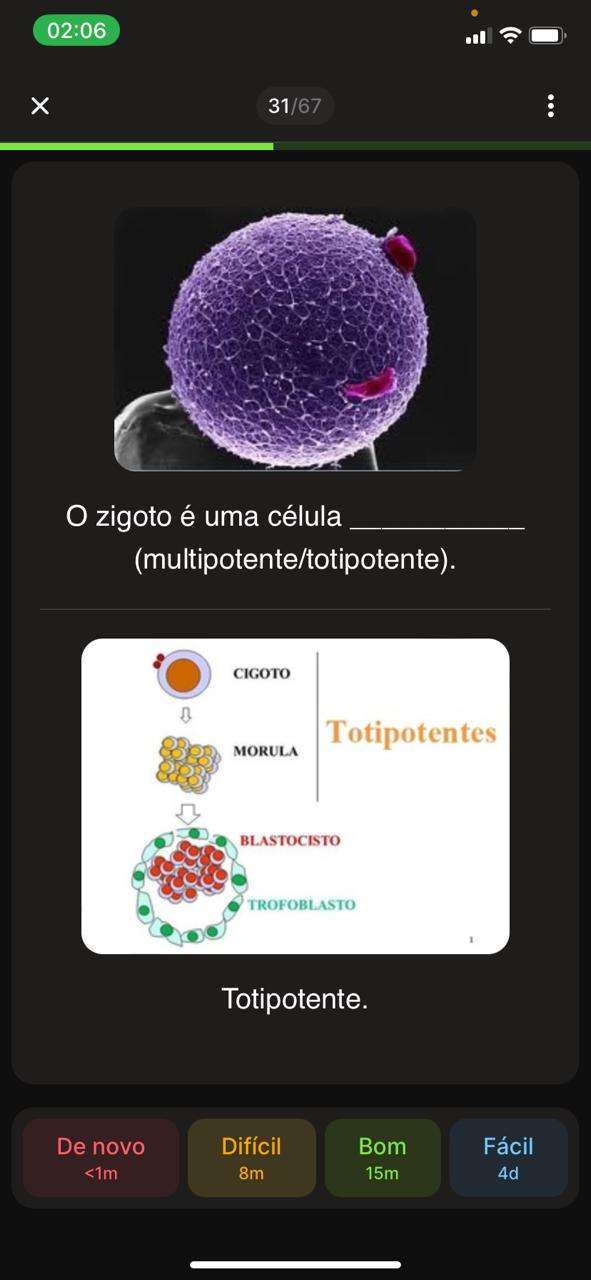 Flashcard 3