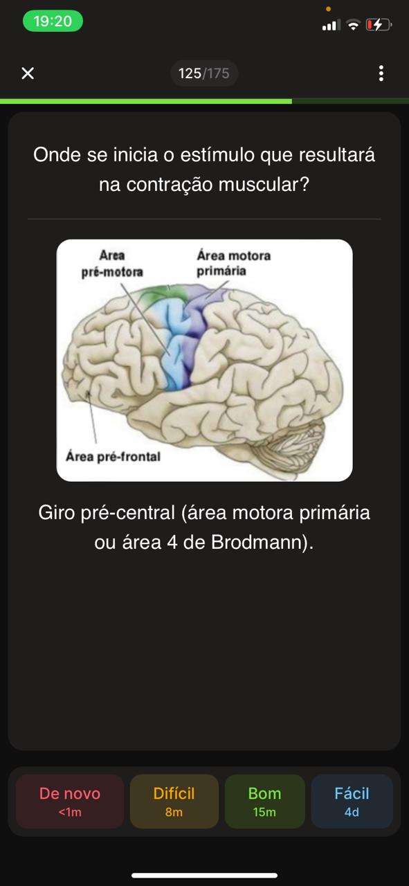 Flashcard 5