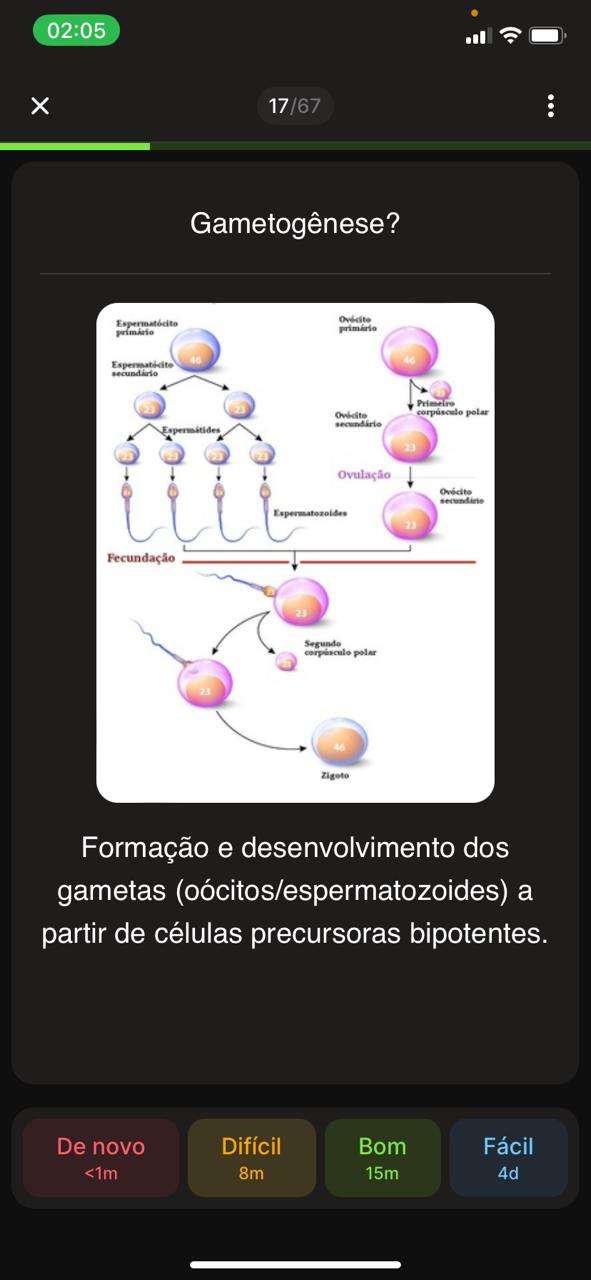 Flashcard 6